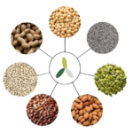 Amaa_Organic_Proteins_Ingridients_Seed